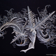 Illustration for article titled The Winning Images From iNational Geographic/is 2014 Photo Contest